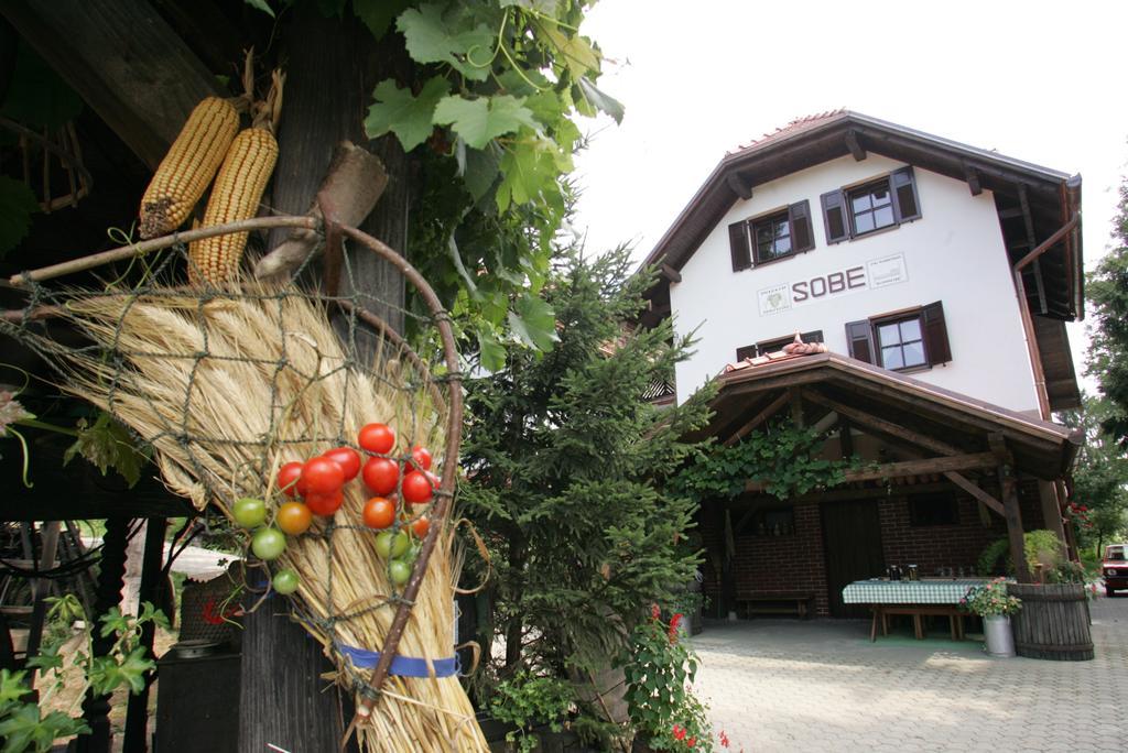 Farm Frank Ozmec Gospodarstwo agroturystyczne Ljutomer